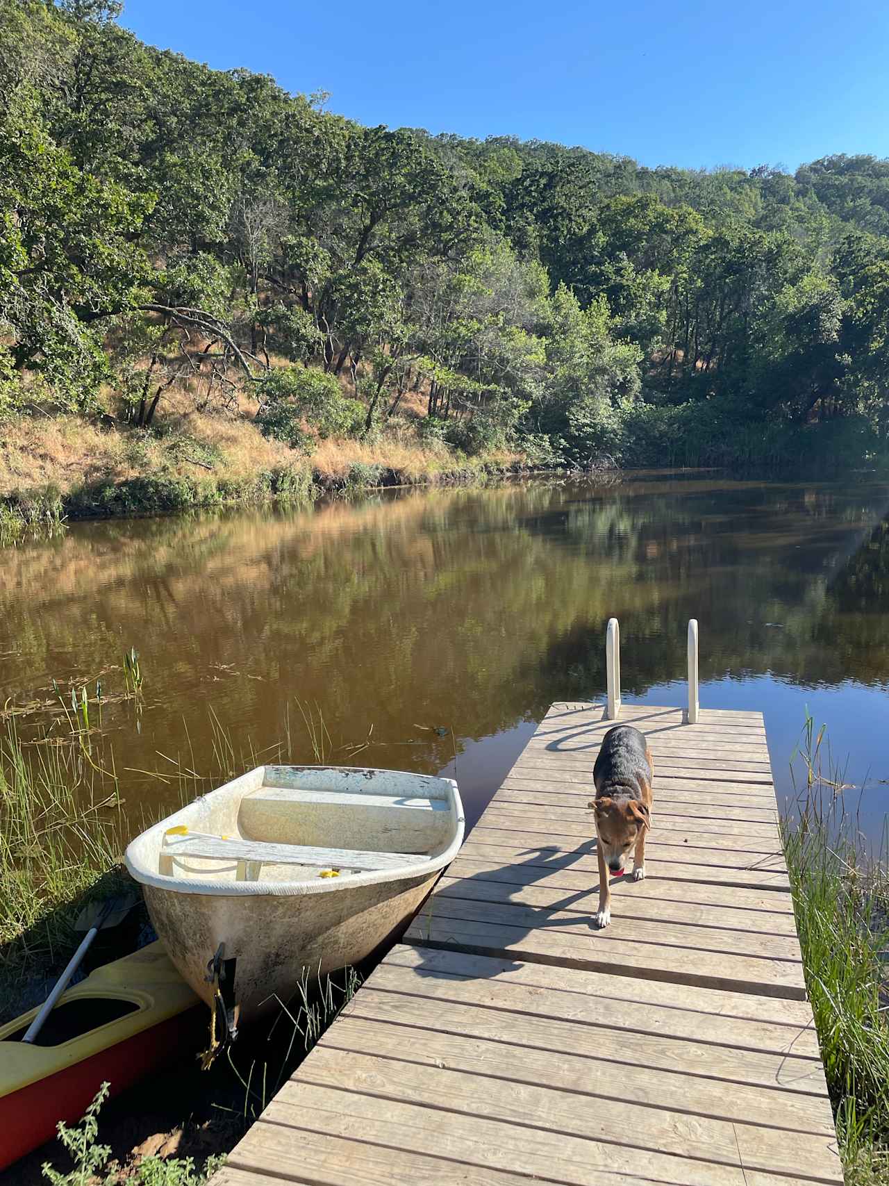 Pond with dock and boats