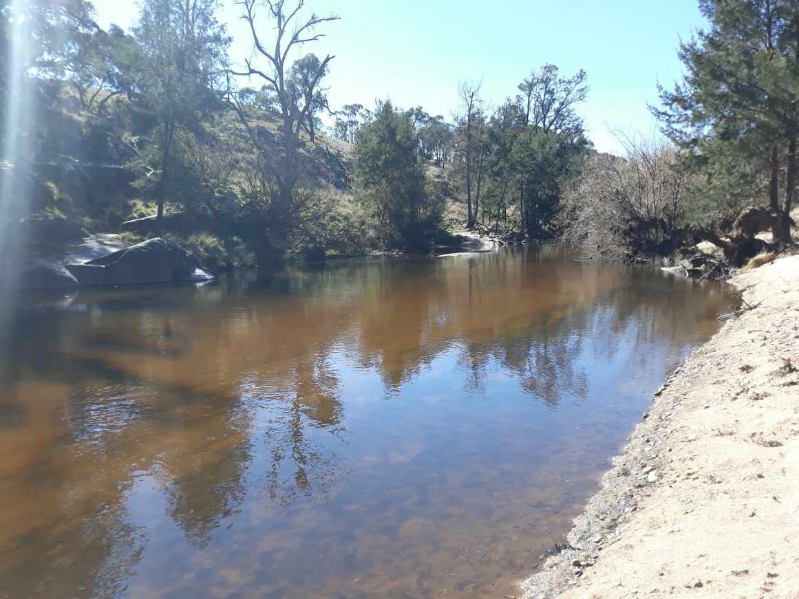 Still waters at Rockytop Riverside Camp on the Wambuul-Macquarie River.