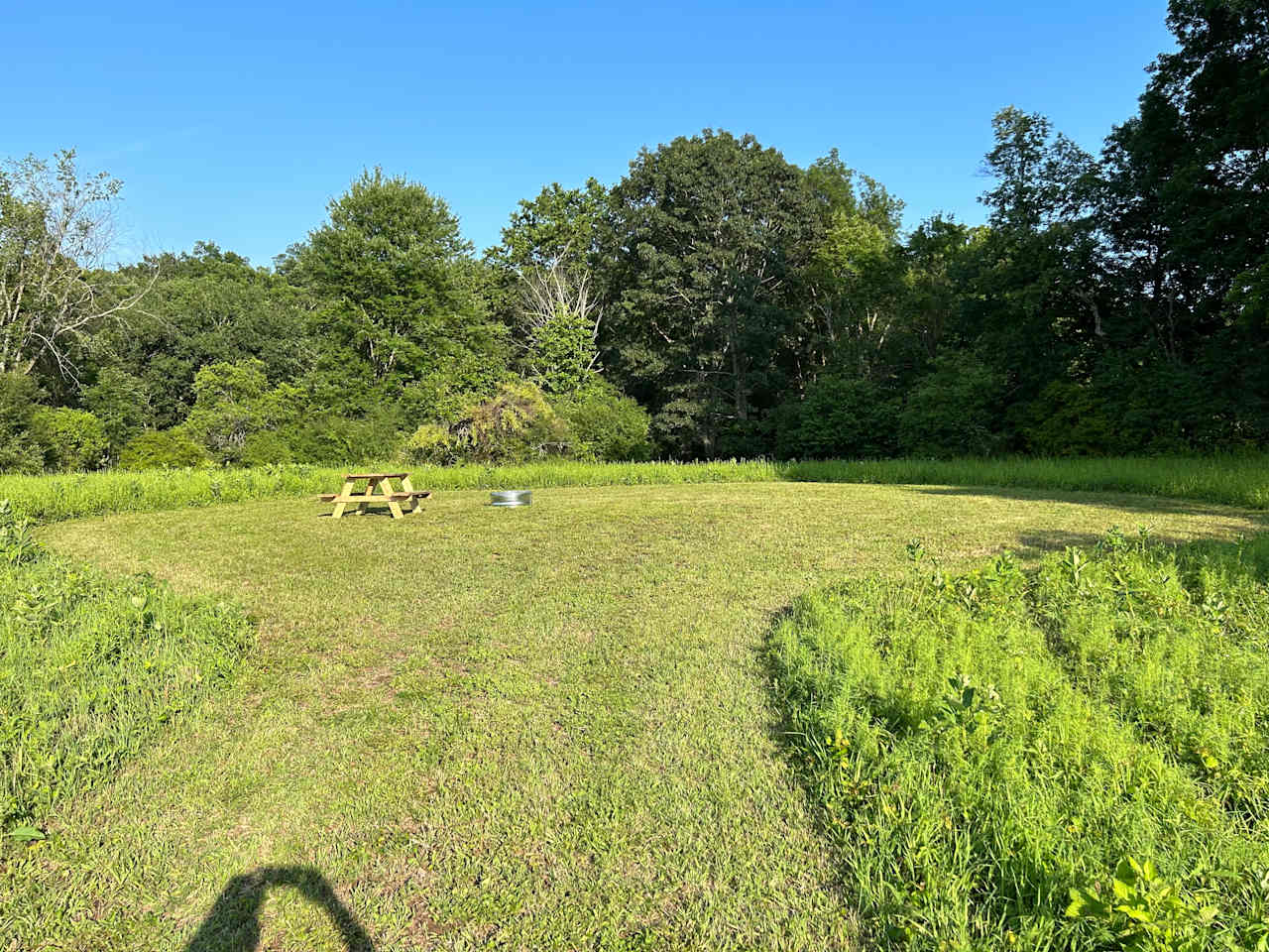 Site 2 with picnic table and fire ring