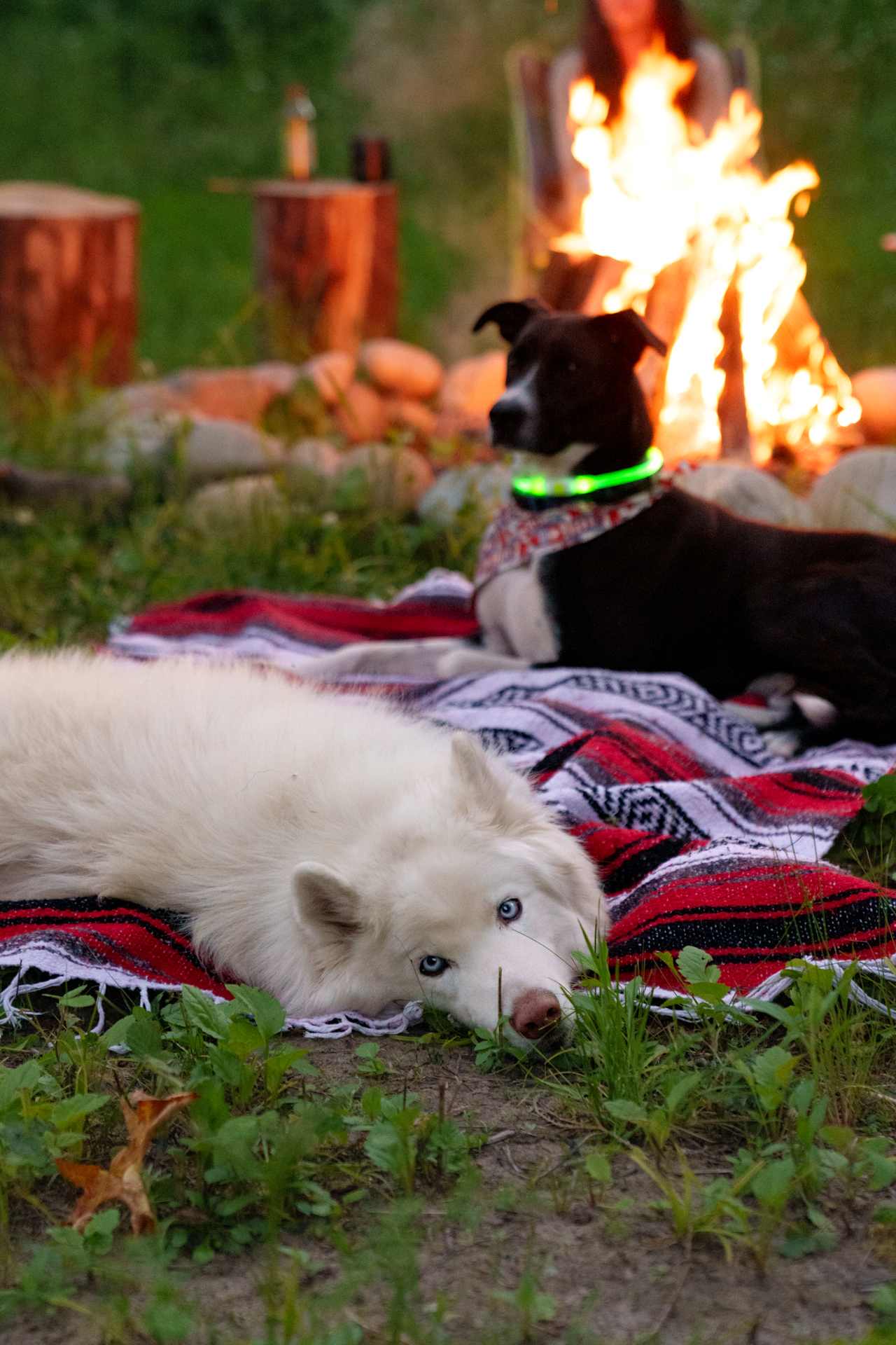 The cutest, best ones of the whole camp!