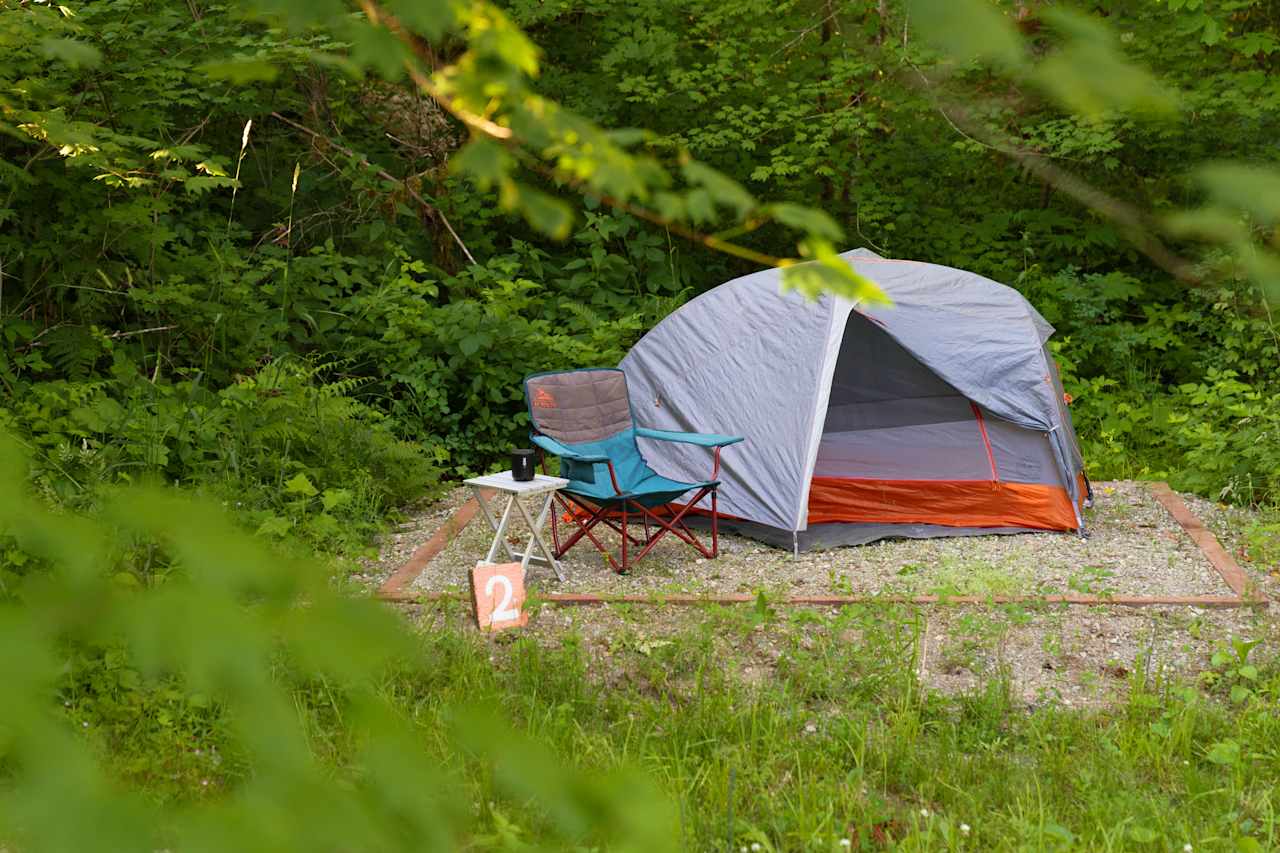 Surrounded by trees and nature!