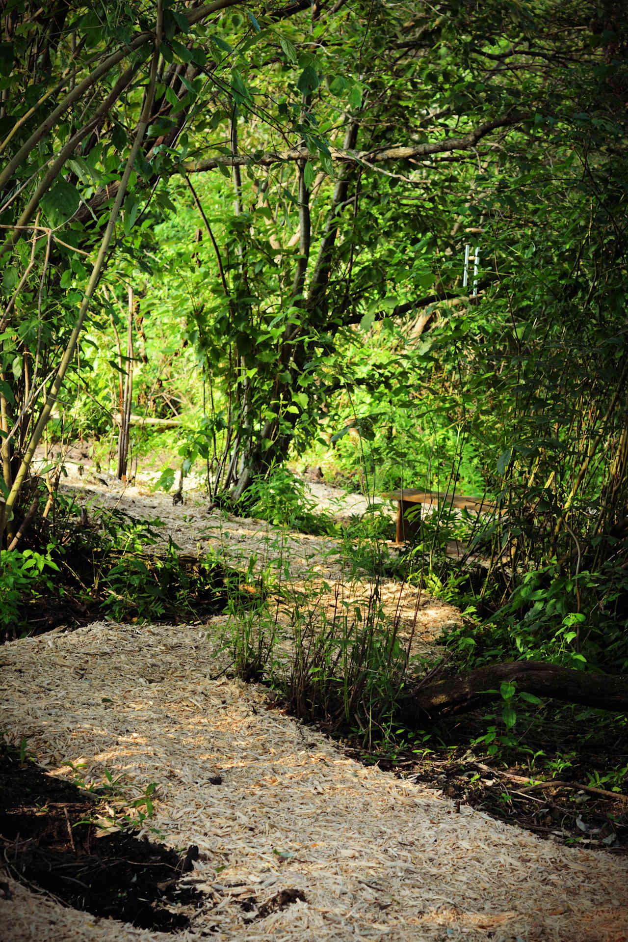 A shaded path leads to additional seating.