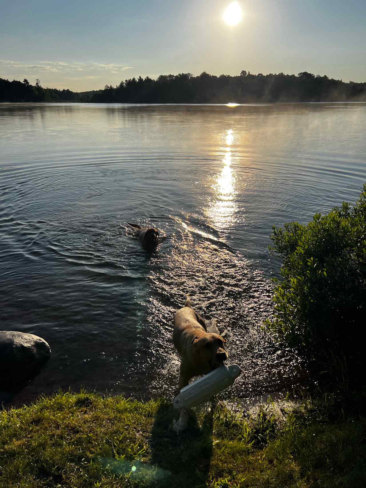 Presque Isle Campground