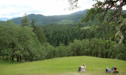 Forest Retreats in White Salmon