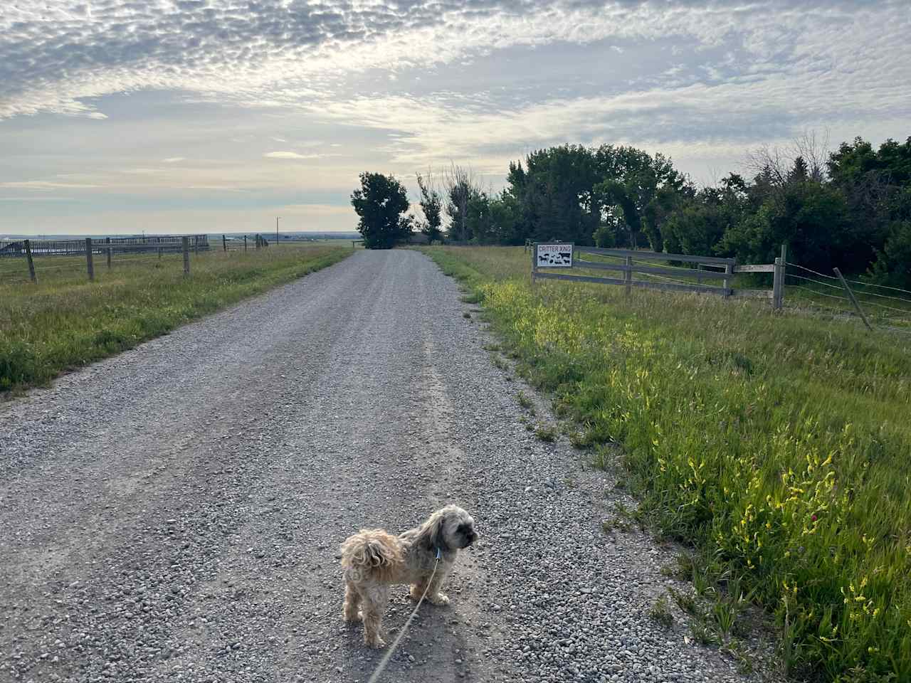 Blue Rein Ranch