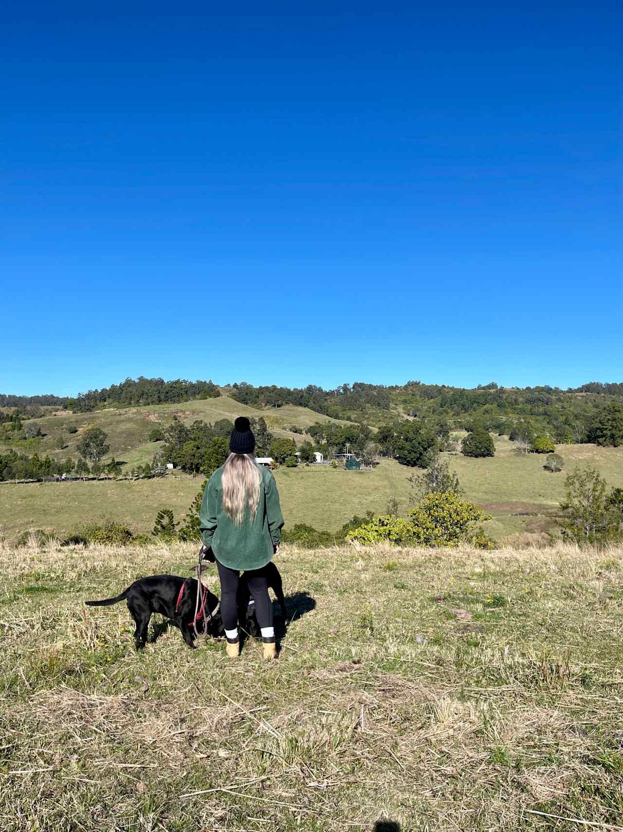 Oakey Ridge