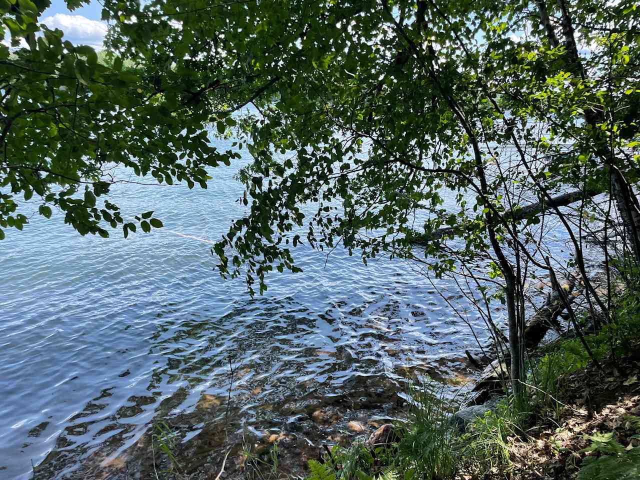 Lakefront land in Florence Co.