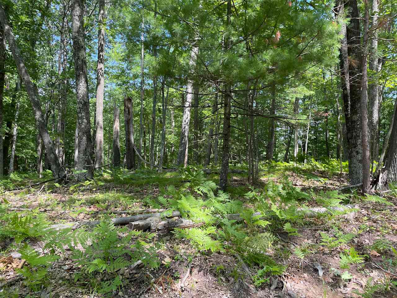 Lakefront land in Florence Co.