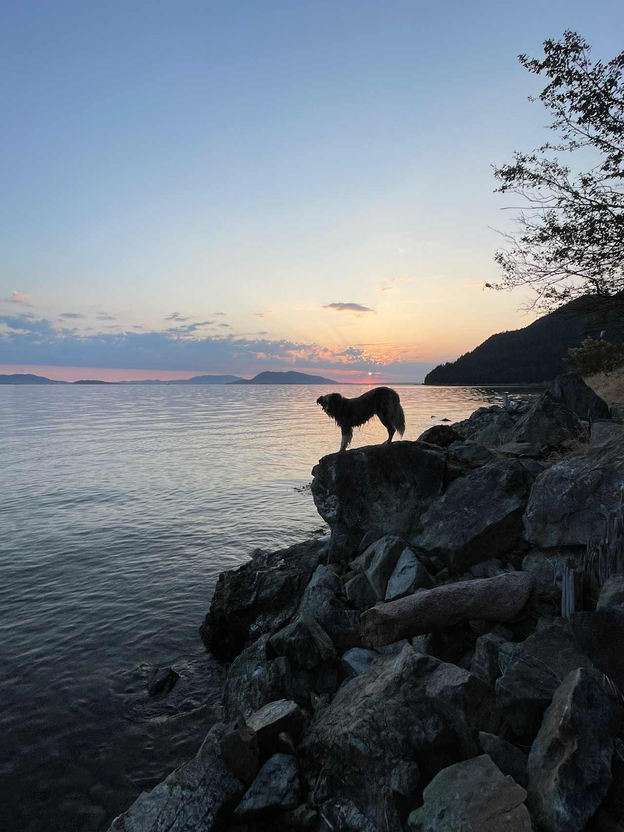 The Chuckanut Rock