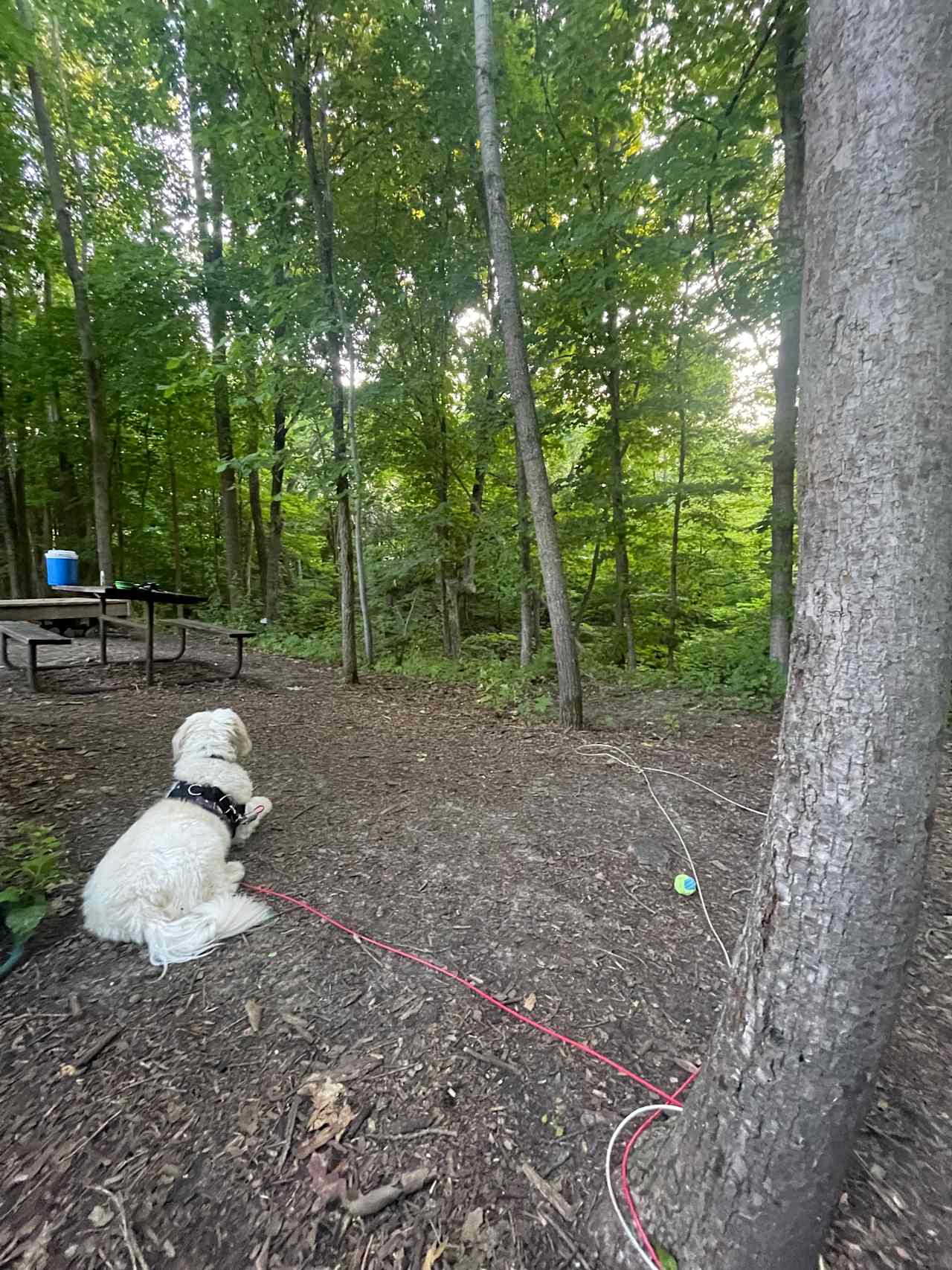 Golden Maple Camp, Trails & Biking