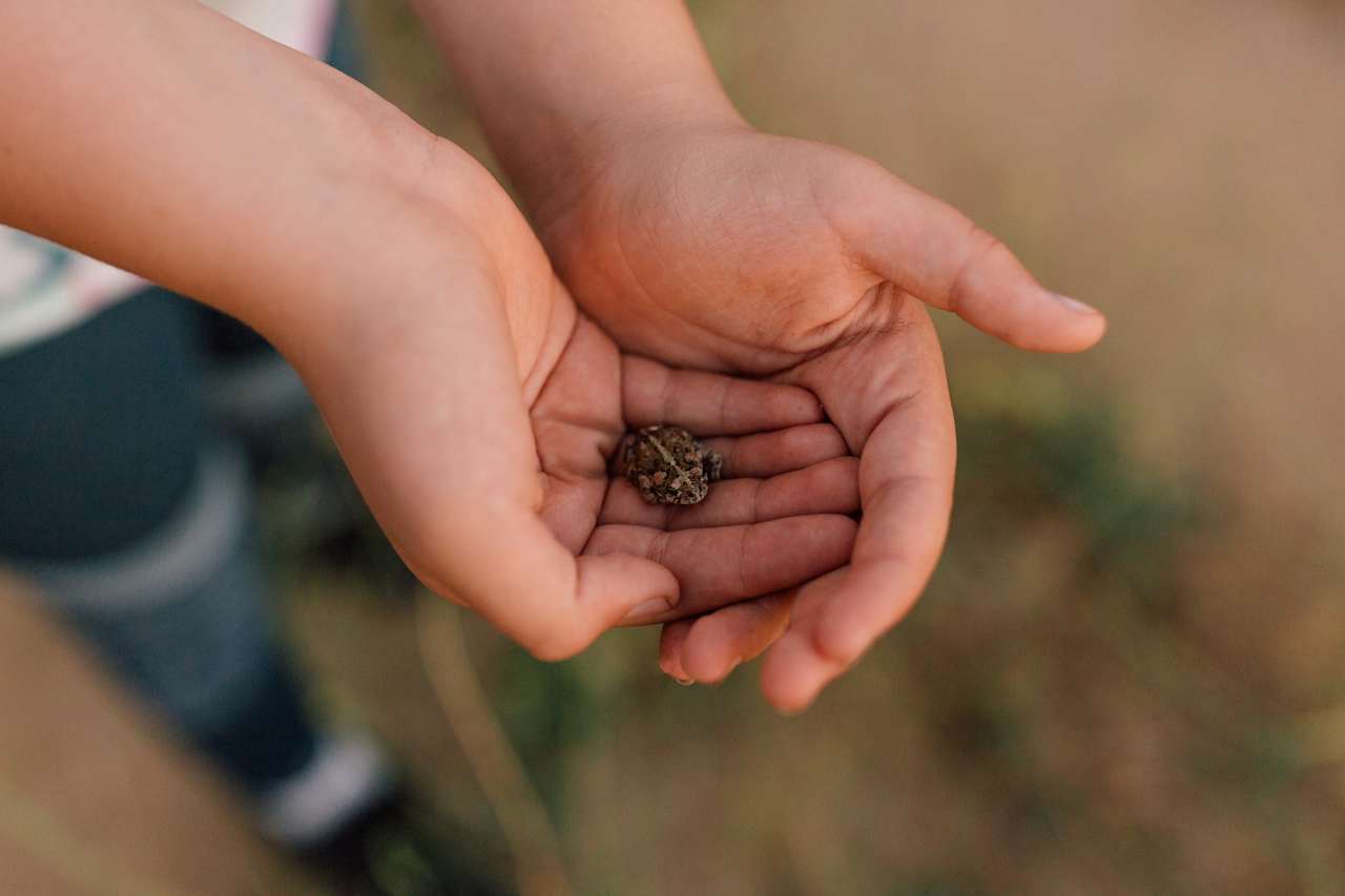 One of the tiny critters we found!