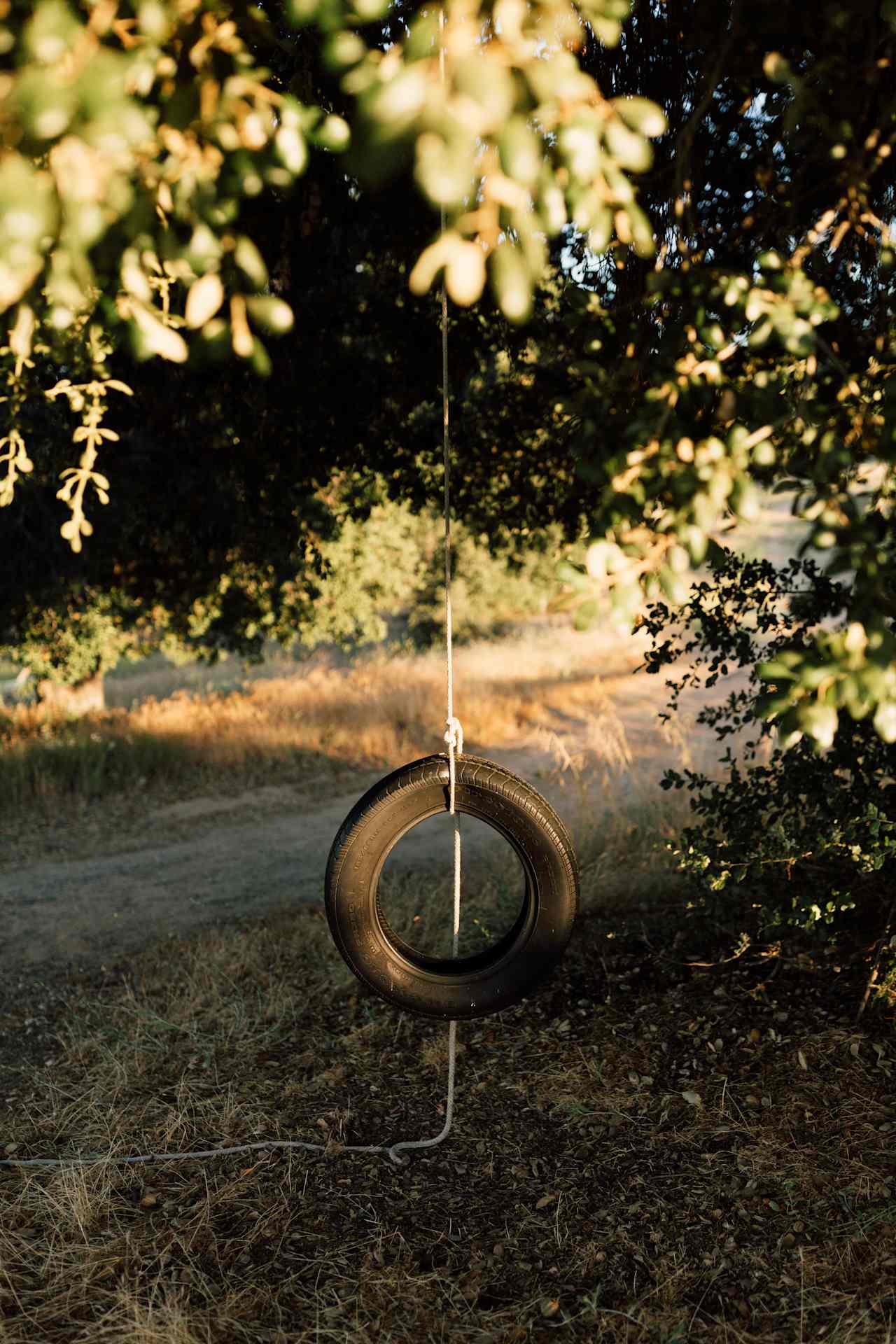 Tire swing