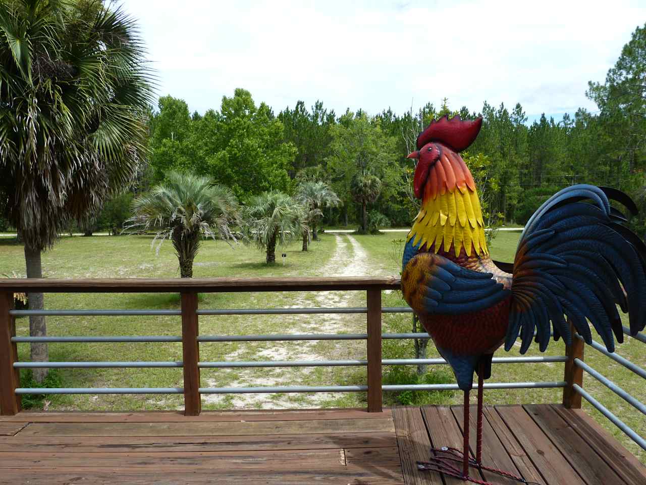 The Treehouse Rooster standing watch