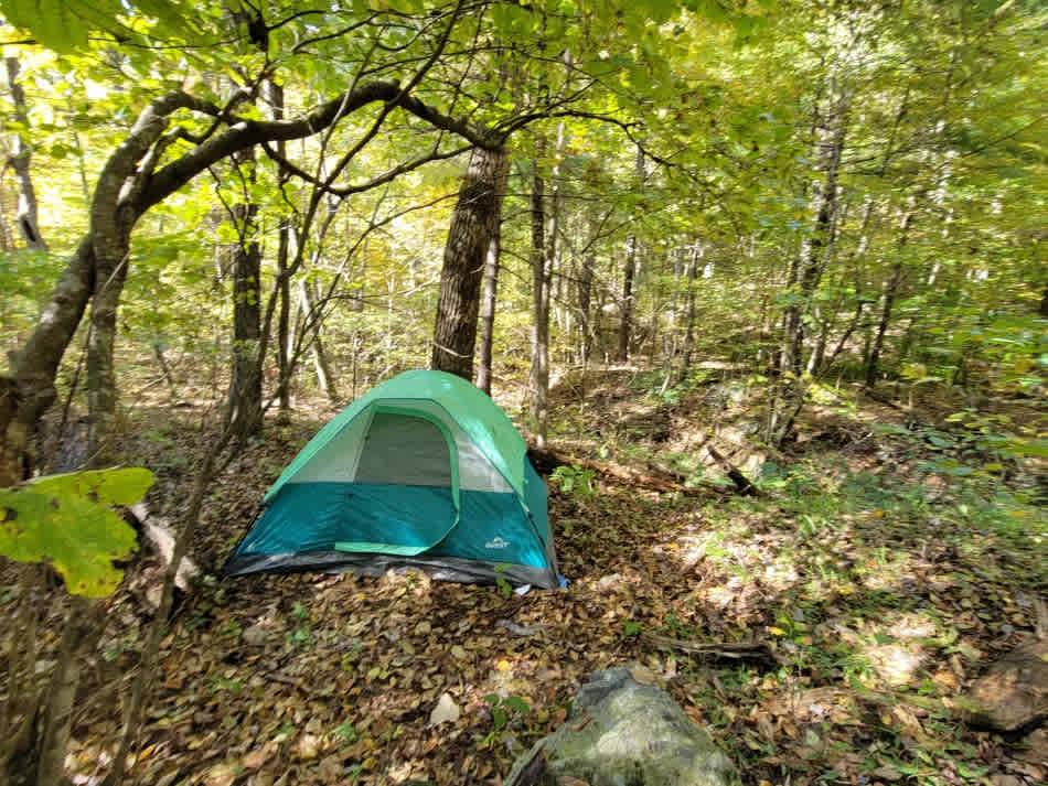 Shenandoah NP Ridge