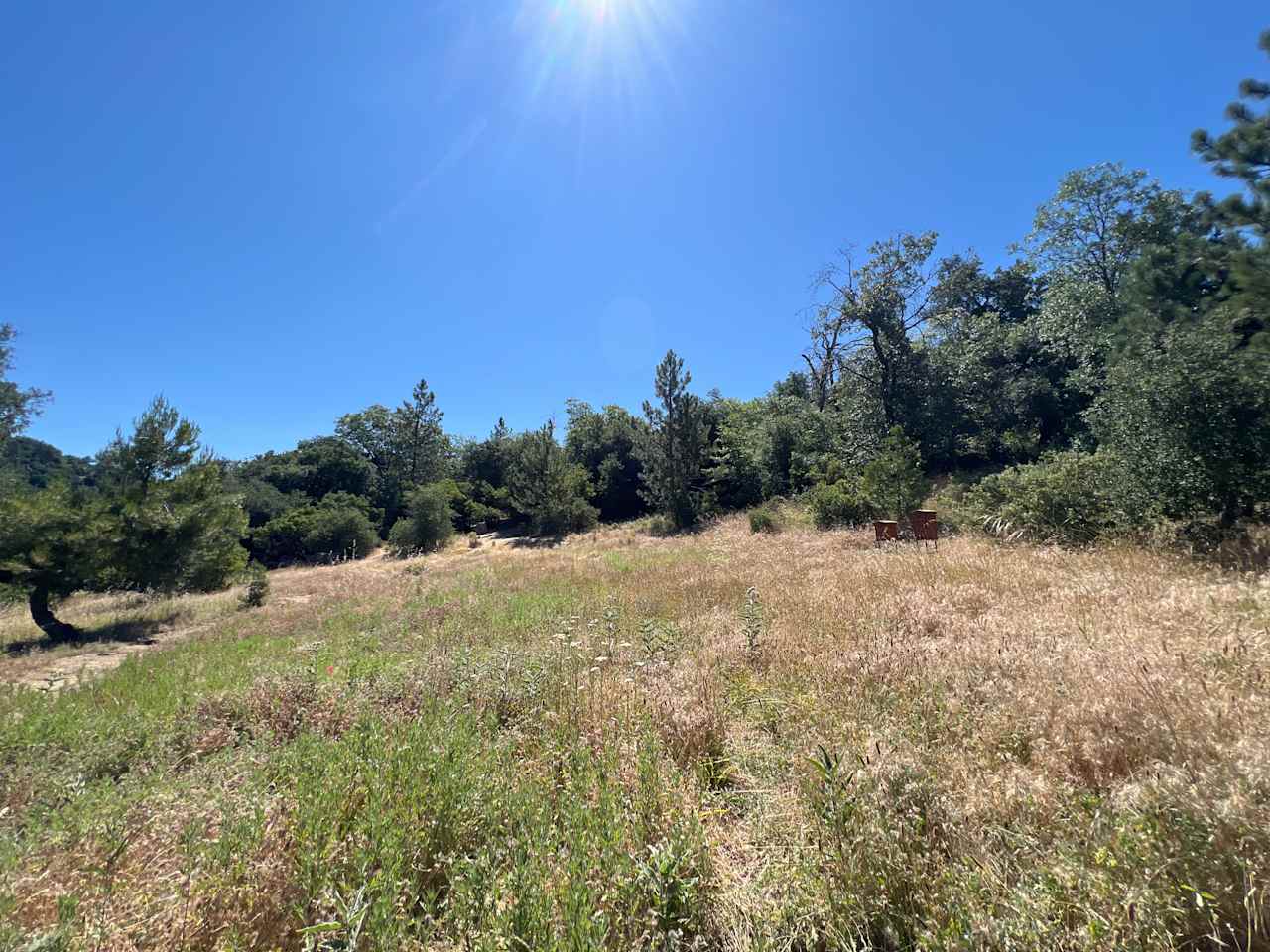 View from Pop-Up Pad of Property. Adventure Trail entrance and bee hives in the background. 