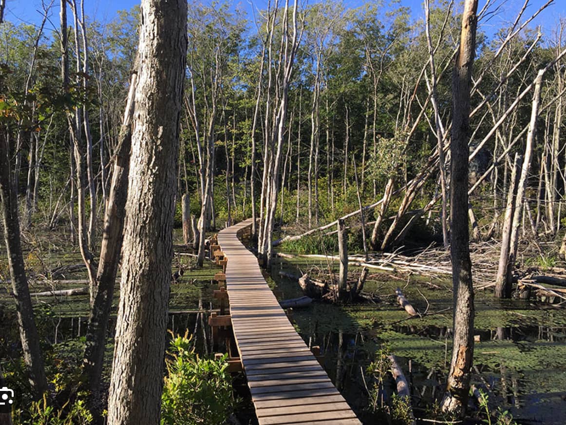 Many hikes and walking trails on Cape Ann