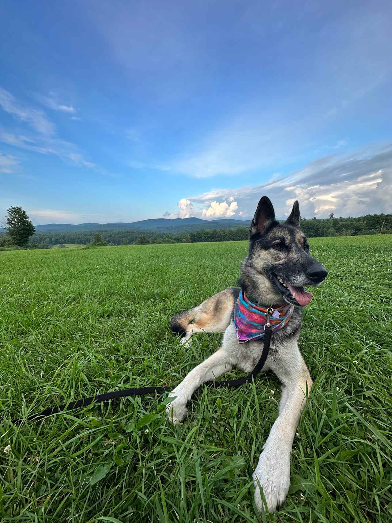 Harold's View Farm