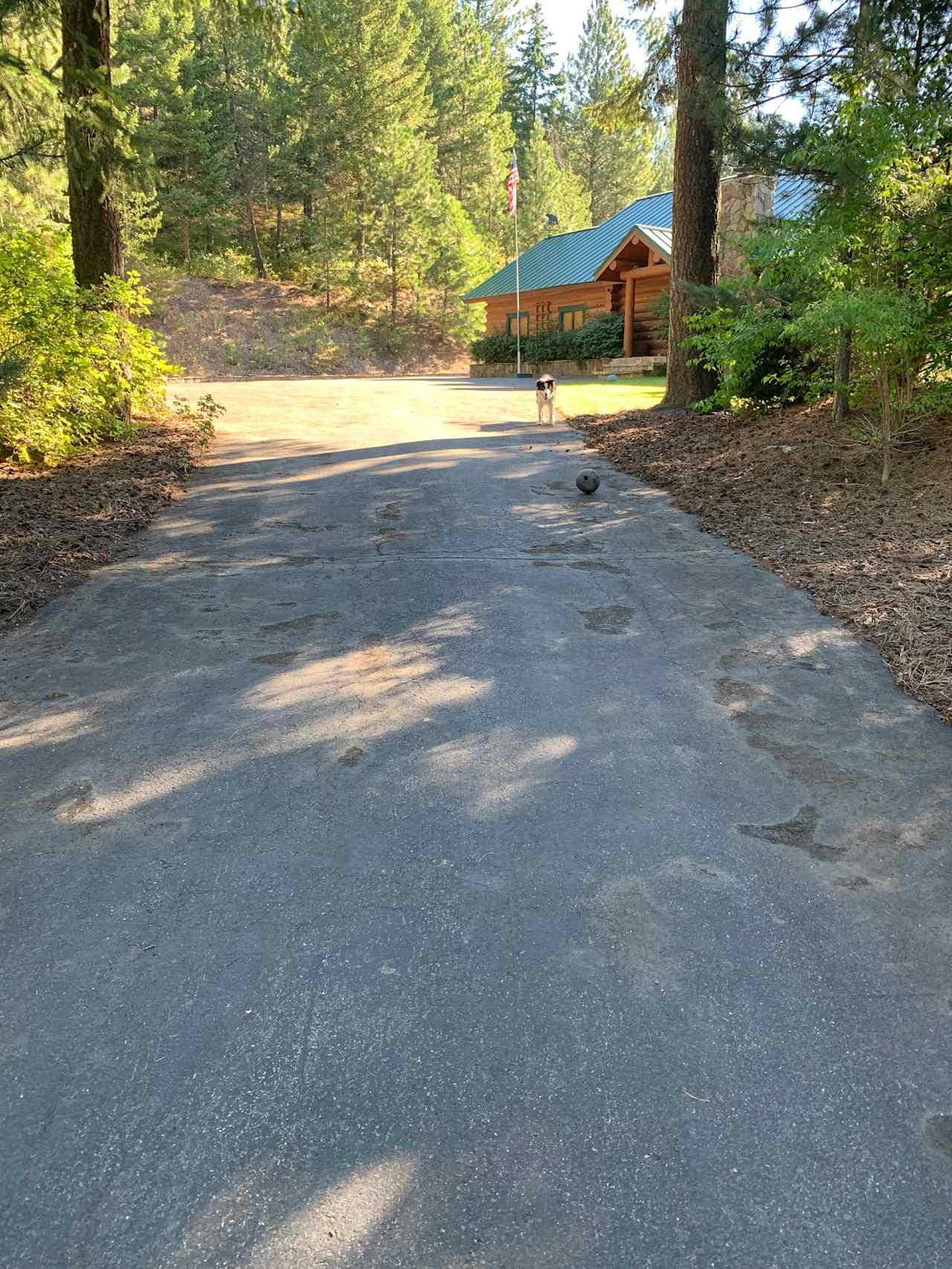 Driveway to the property (might require backing up)