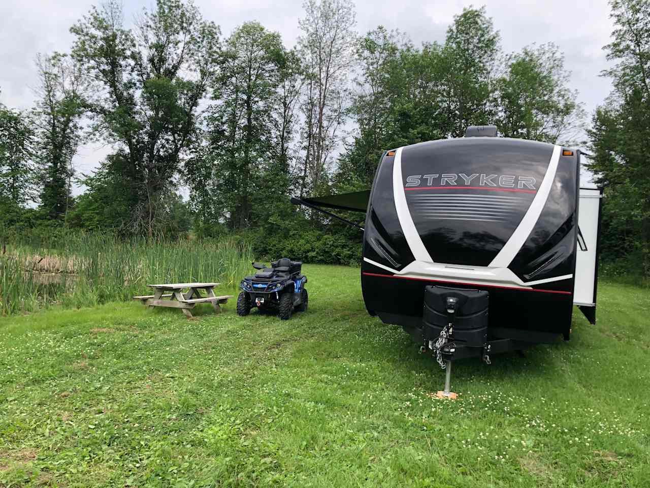 Pond view