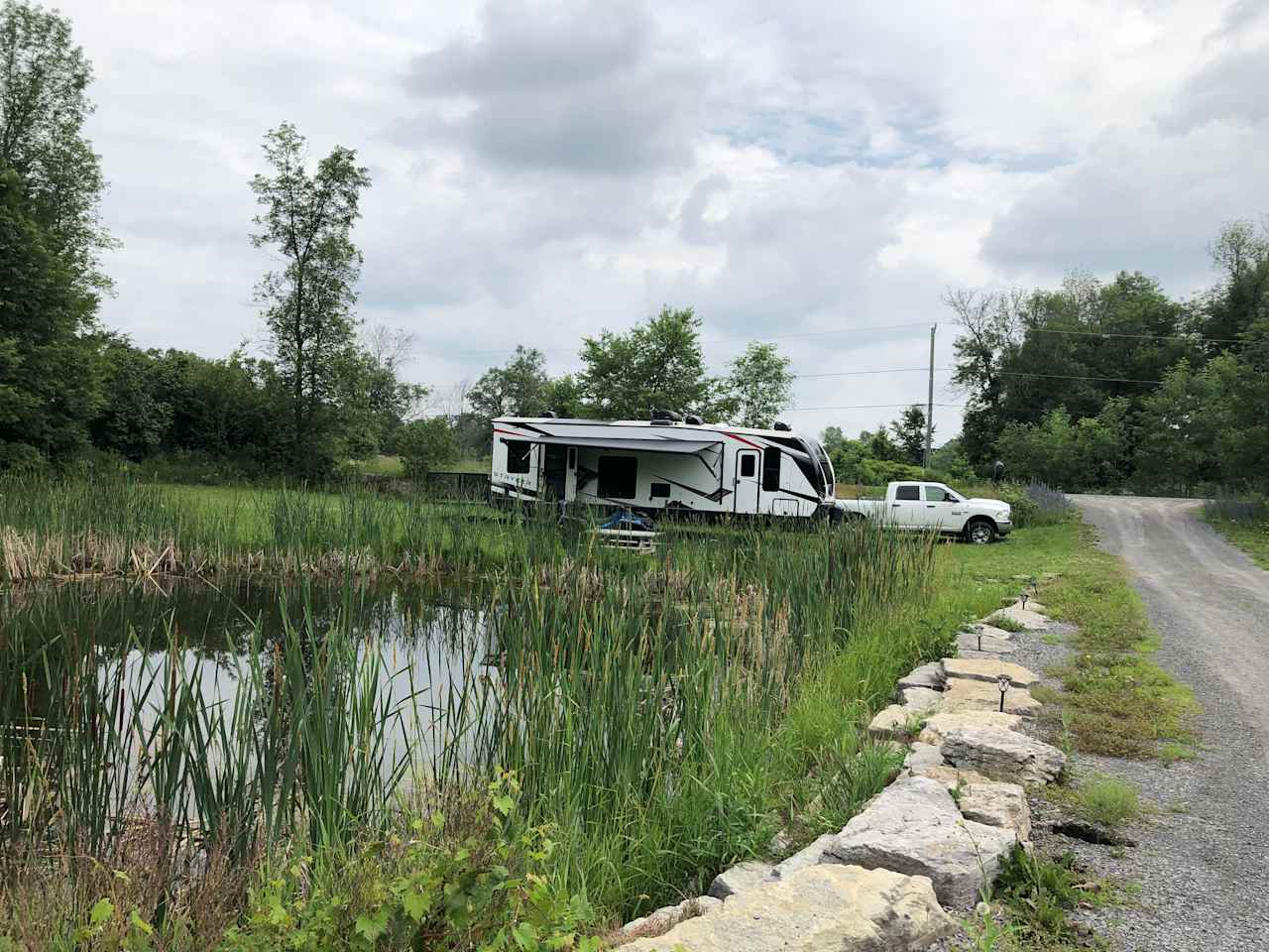 Pond view