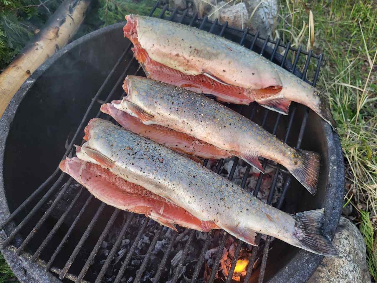 Blueberry Lake Camping