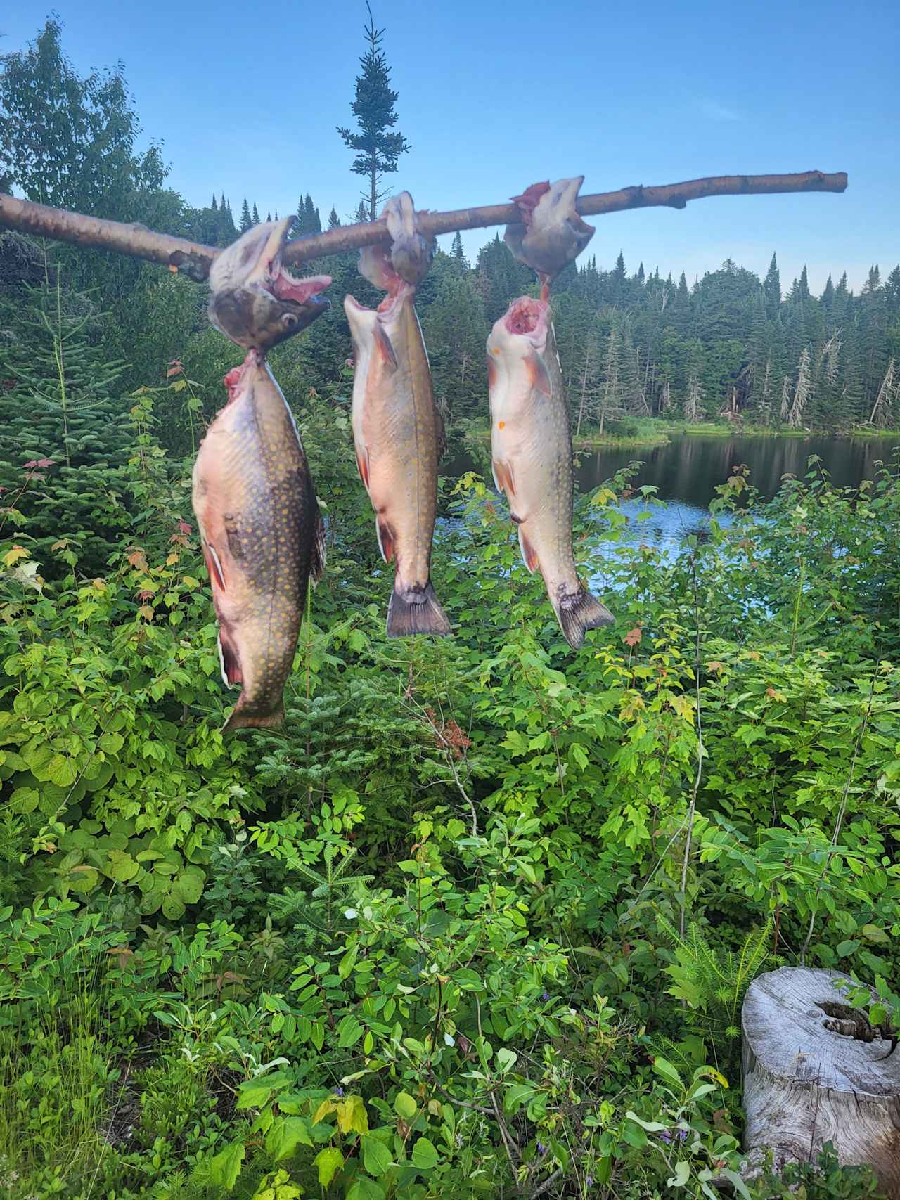 Blueberry Lake Camping