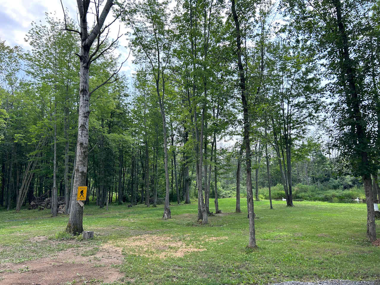 Flat grassy area to pitch tents or park a trailer 