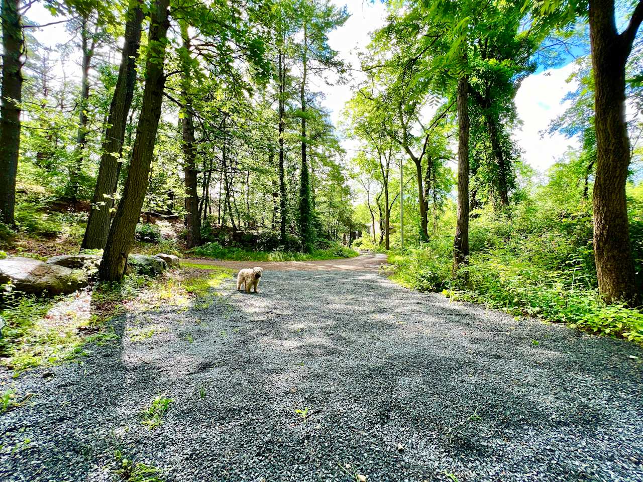 A view of our TOI MOI RV Tuckaway from the far end looking down our driveway towards Walker St.