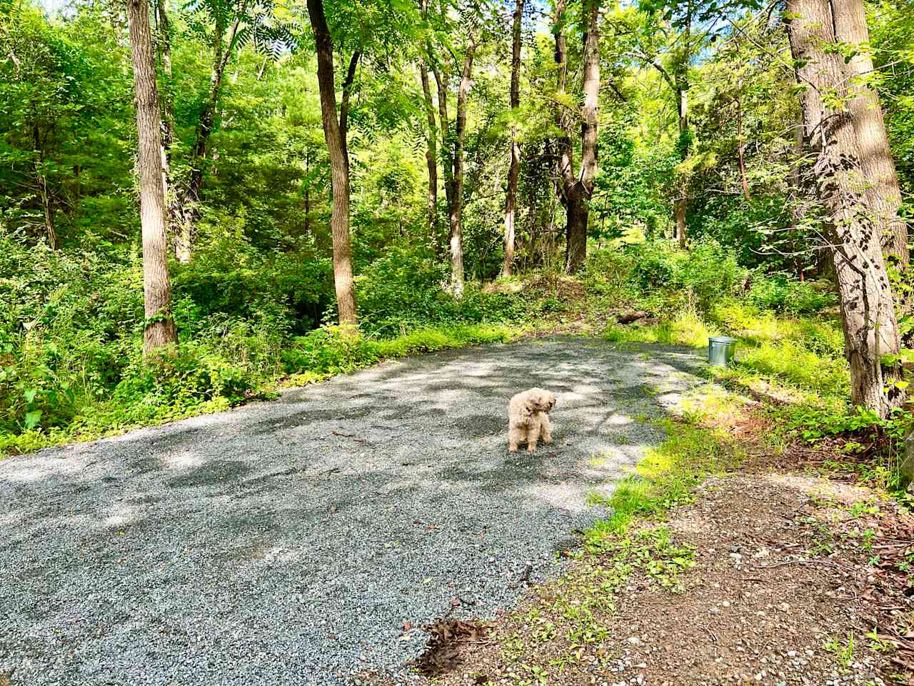 Secluded, with no neighbors or street noise! Our RV Tuckaway is located right at the foot of our trail into the forest.