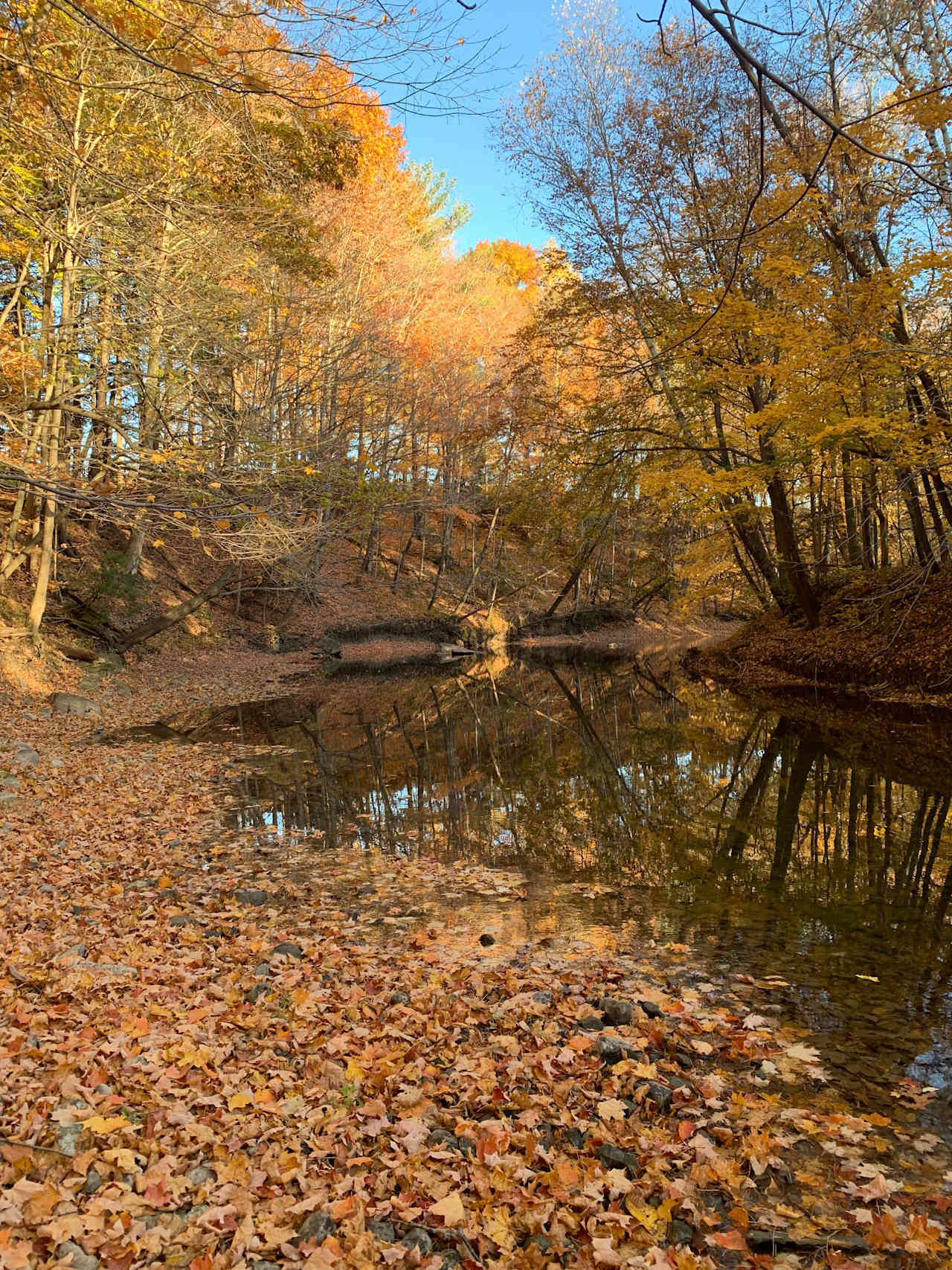 Otter Creek Camping