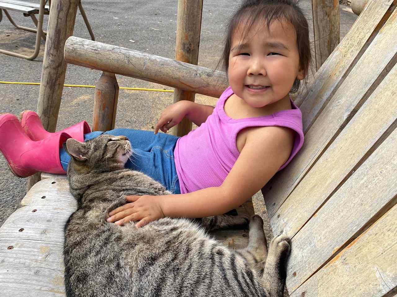 One of the friendly farm cats.  