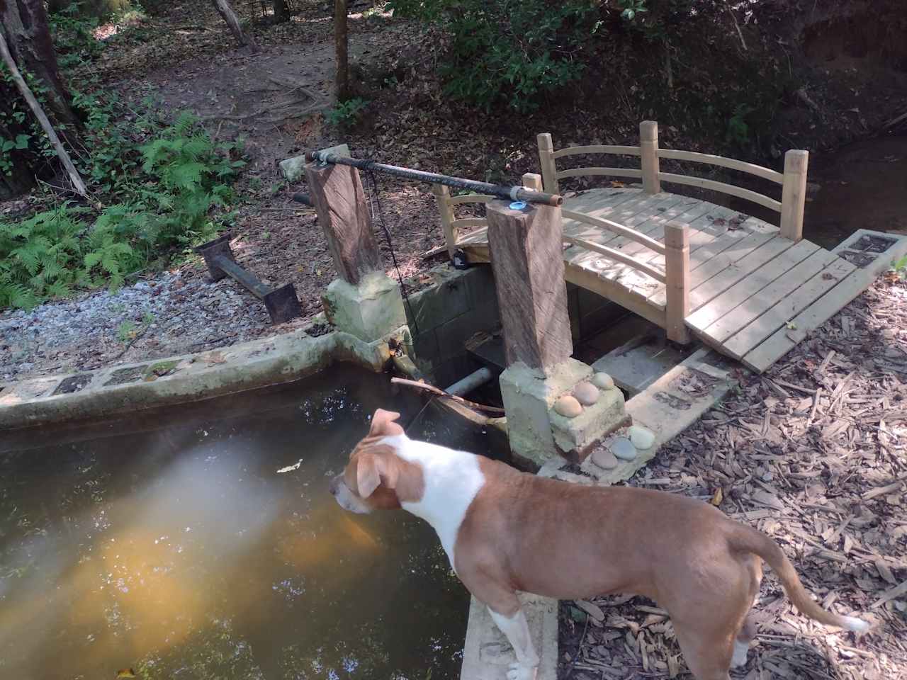 3 Creeks Camp and Nature Preserve