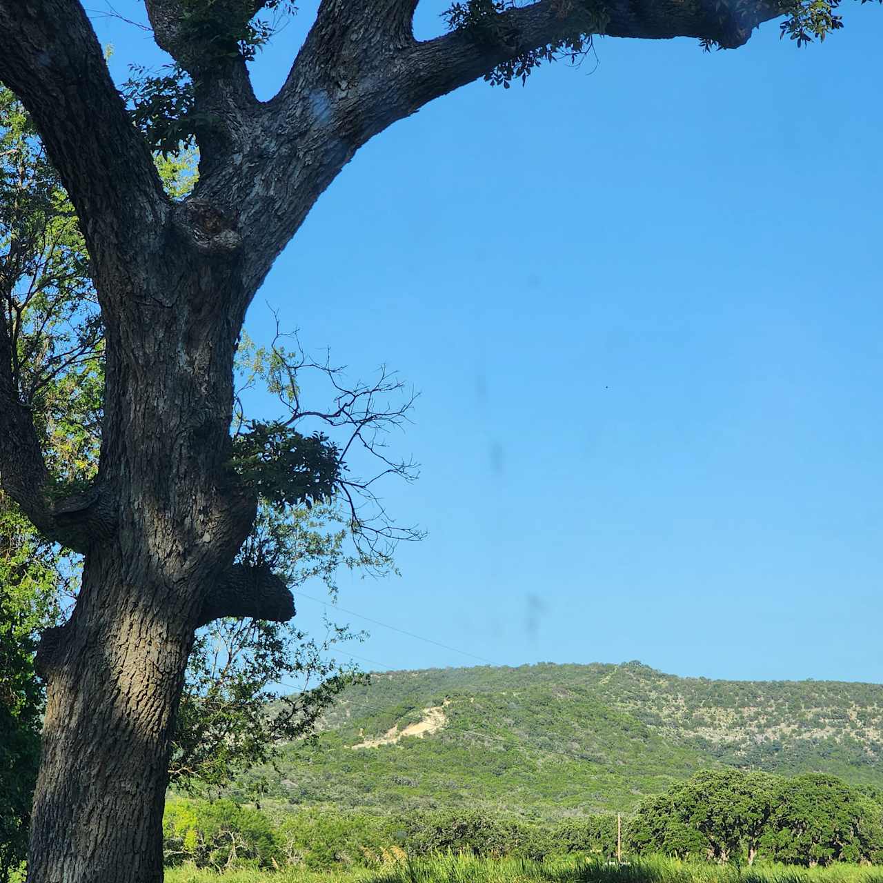 Rio Frio Rv Park & Campsites