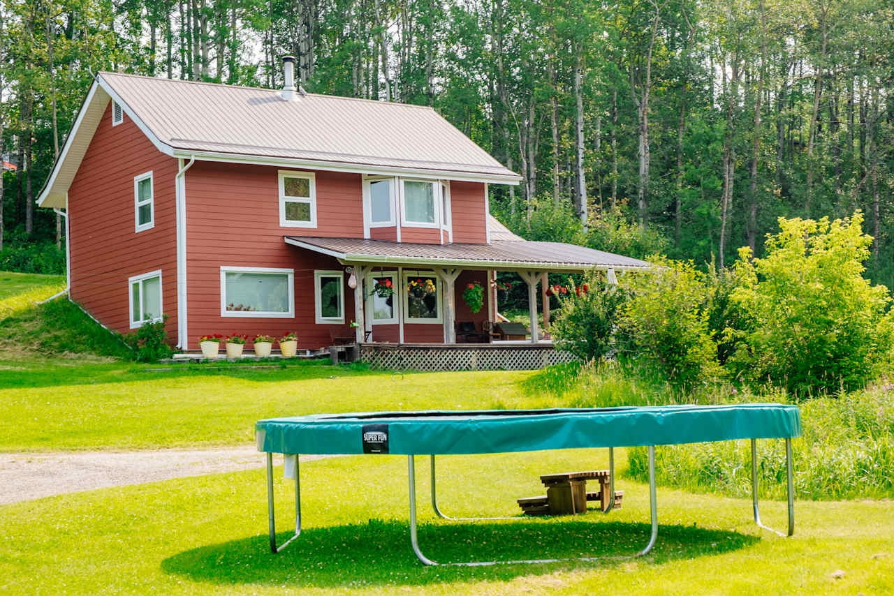 Trampoline for kids or kids-at-heart!