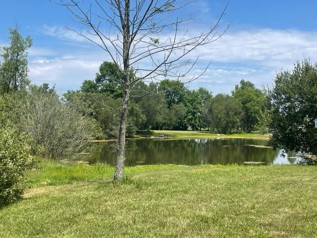 Fishing Pond