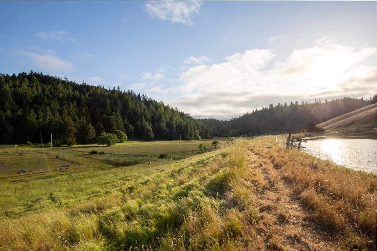 Otter Valley Farm