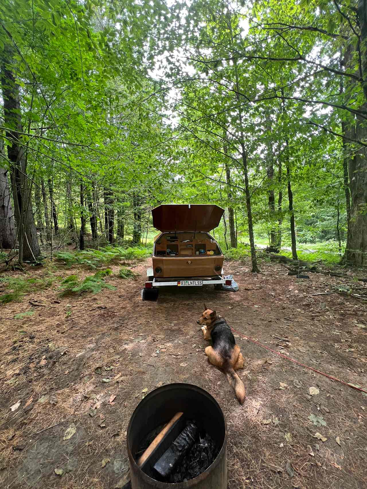 Birds Eye View Vermont