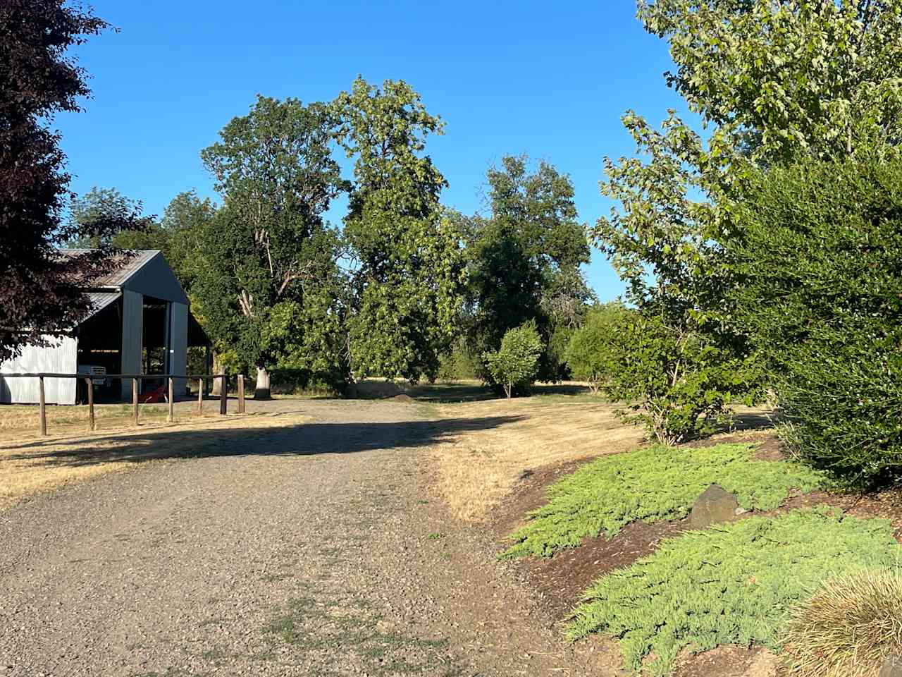 Driveway to the barn