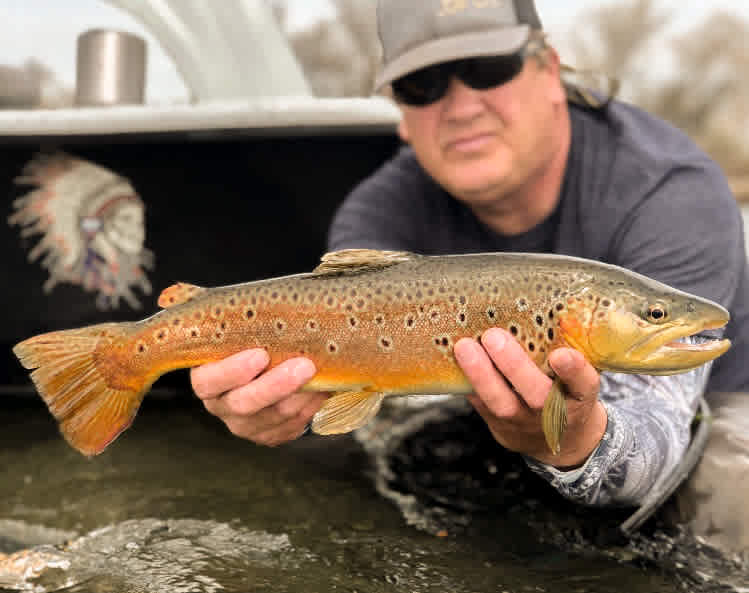 Nature Resort on the Bighorn River