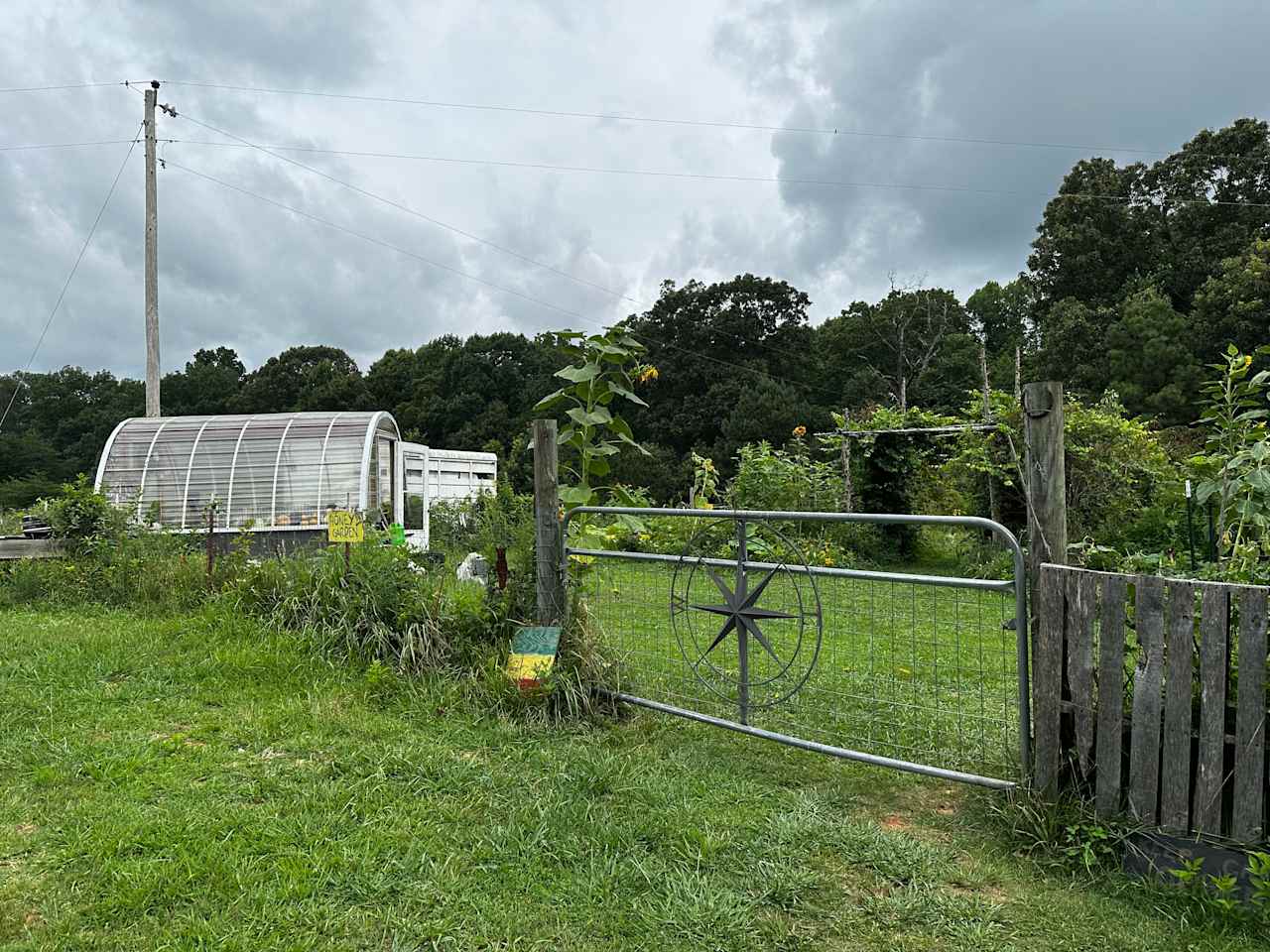 Sacred Dog Ranch