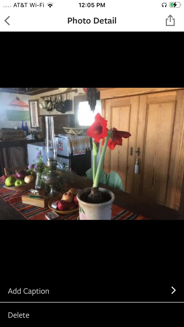 The main living space inside the house, including kitchen and dining area.