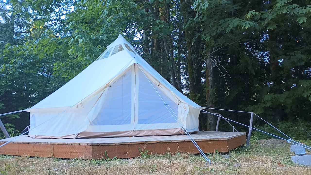 Big Dipper in our Meadow area