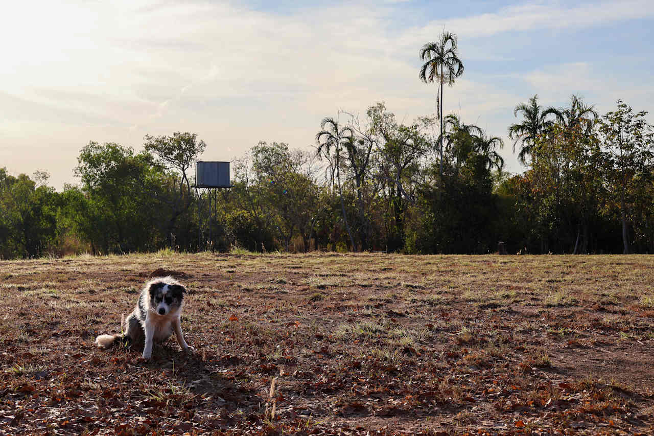 @the.galapagos.life - dog friendly 