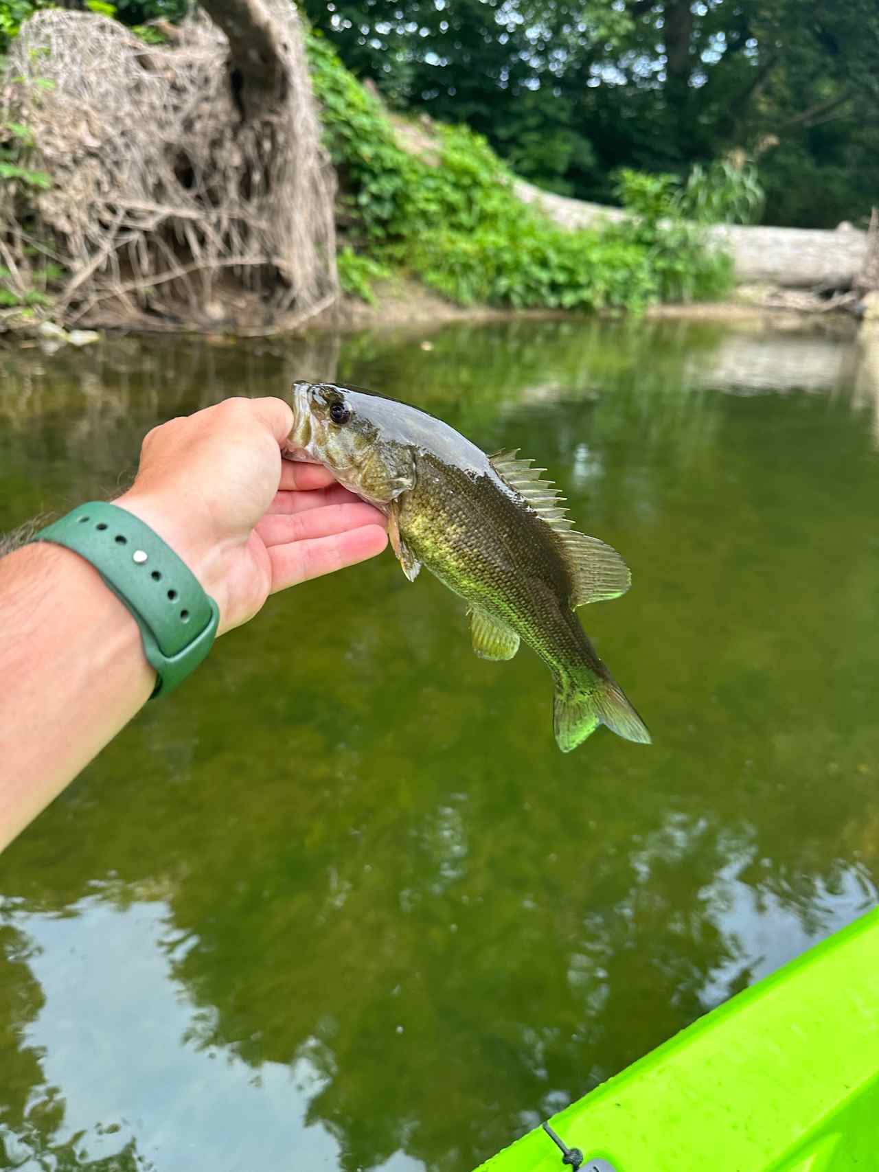 North Fork River Retreat