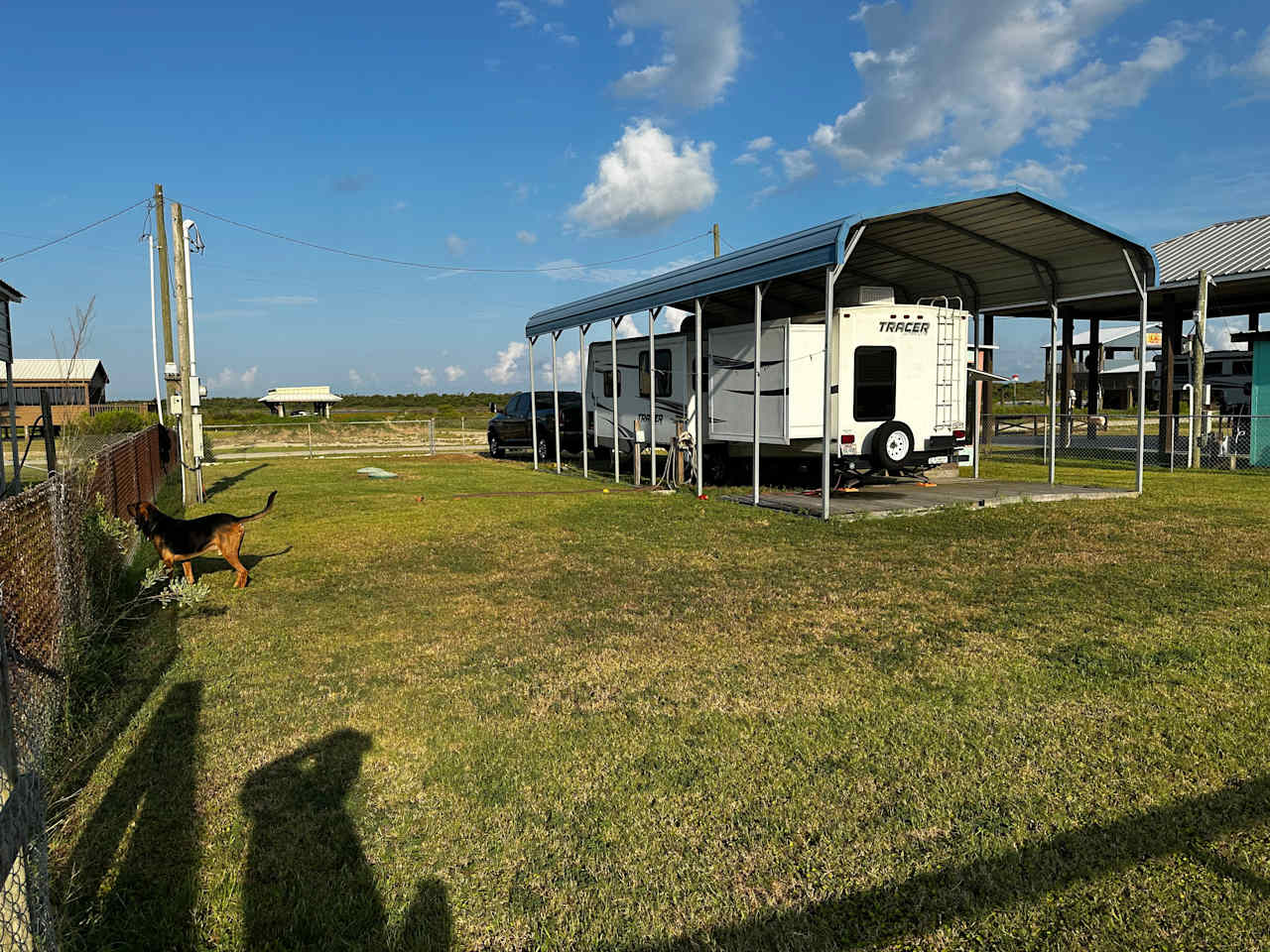 RV from back corner of the lot. And the bloodhound again (He is only there with us. Not part of rental!) 