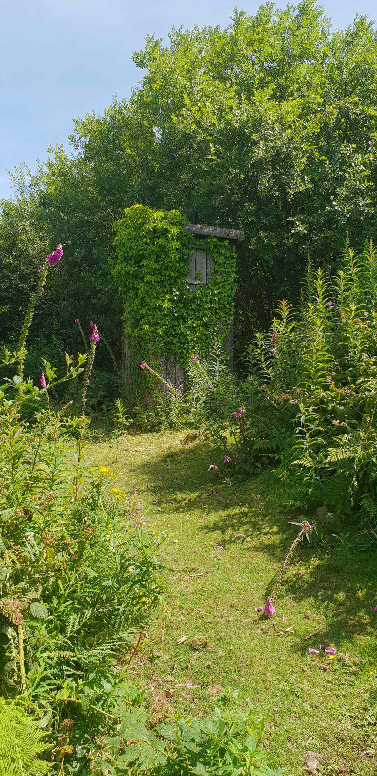 Compost loo