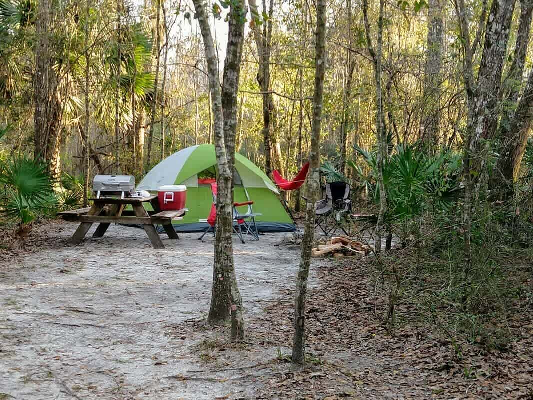 Suwannee River Hideaway Campground/RV park