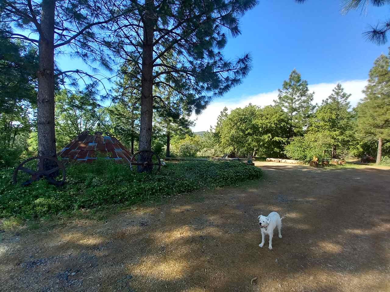 Sierra Circles Sculpture Garden