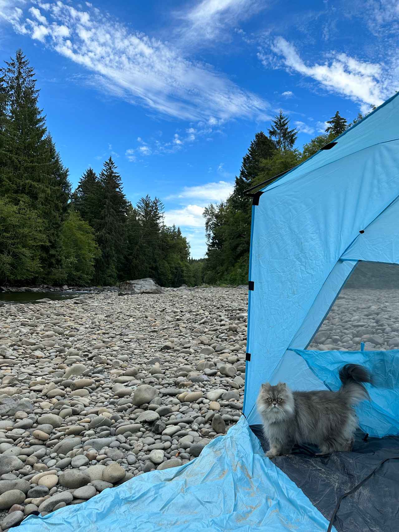 Bogie Upriver Campsites