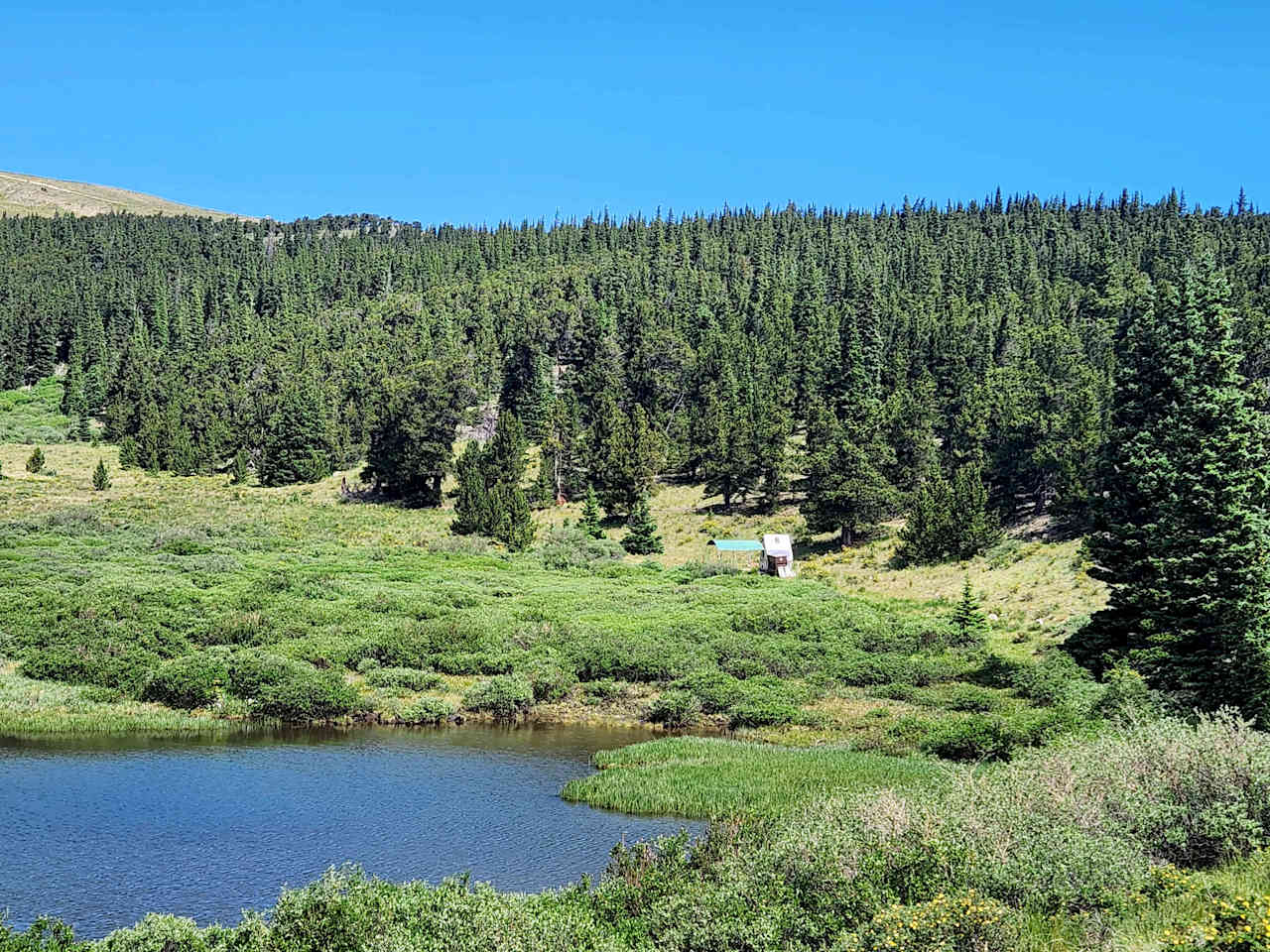 Mountain Meadow Glamp Camp